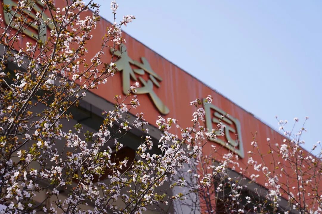 ��Ƶ���š��������У��������������